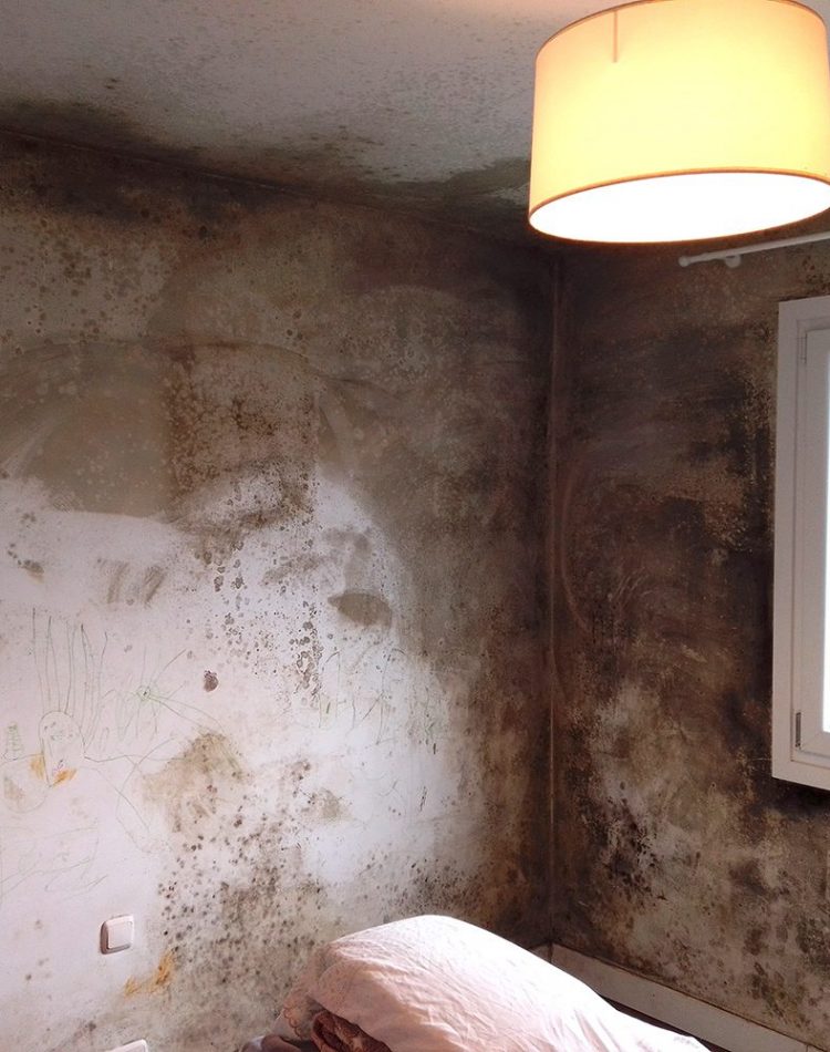 Exif_JPEG_420 Aterki Isola. Solucionar humedades por condensación